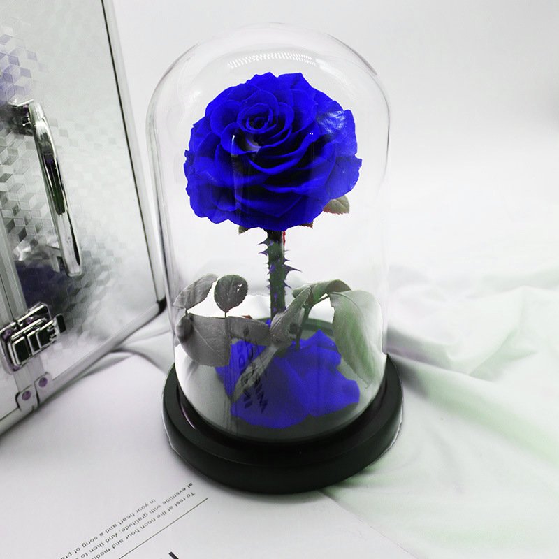 Beauty the Beast Glass Dome for Flowers Occasions such Christmas Valentine's Day New Year Mother's Day Thanksgiving Father's Day