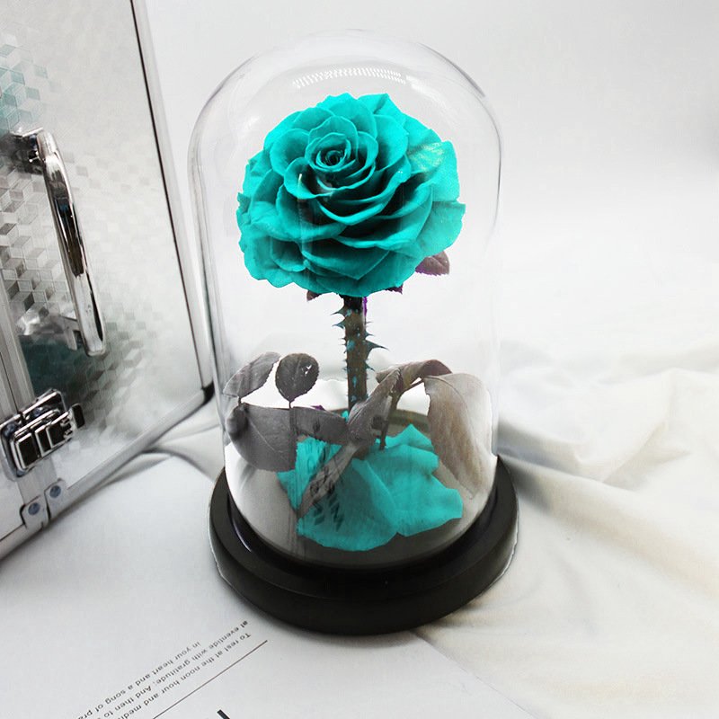 Beauty the Beast Glass Dome for Flowers Occasions such Christmas Valentine's Day New Year Mother's Day Thanksgiving Father's Day