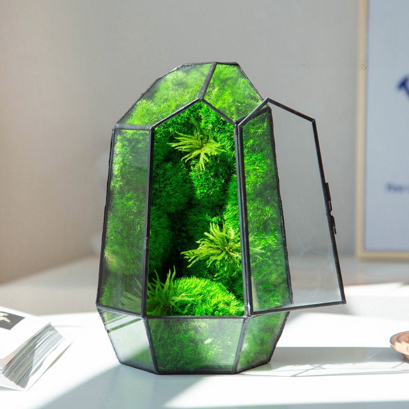 Environment Friendly Preserved Flower Glass Cover Moss Micro-landscape Ecological For For Room Decoration