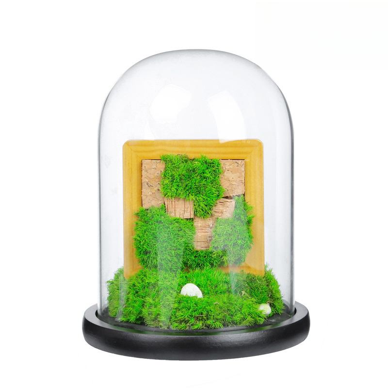 Environment Friendly Preserved Flower Glass Cover Moss Micro-landscape Ecological For For Room Decoration