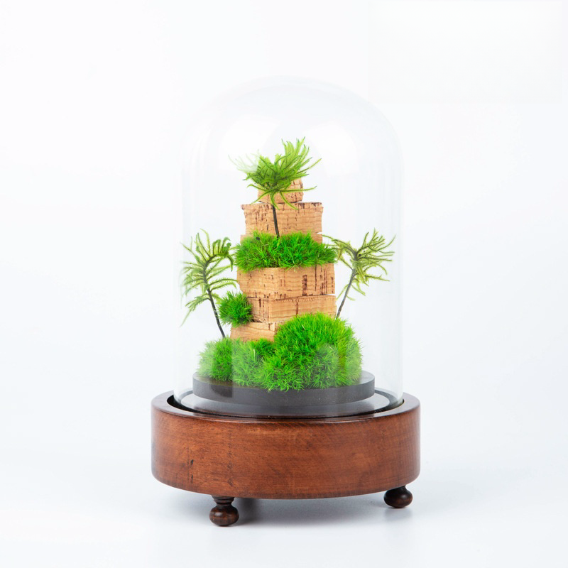Environment Friendly Preserved Flower Glass Cover Moss Micro-landscape Ecological For For Room Decoration