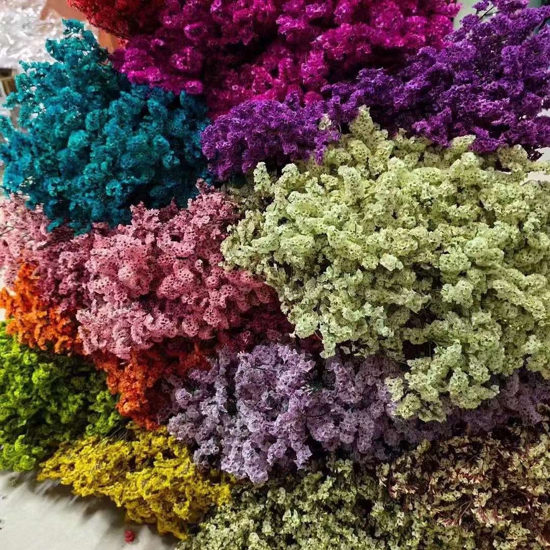 Natural Preserved Flower Dried Flower Bouquet Crystal Grass Flower Arrangements Material For Wedding Decoration Home Decoration