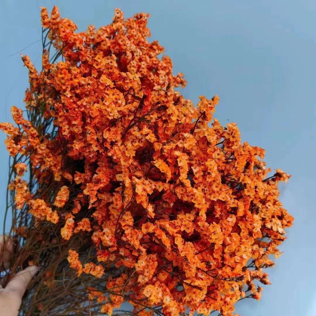 Natural Preserved Flower Dried Flower Bouquet Crystal Grass Flower Arrangements Material For Wedding Decoration Home Decoration