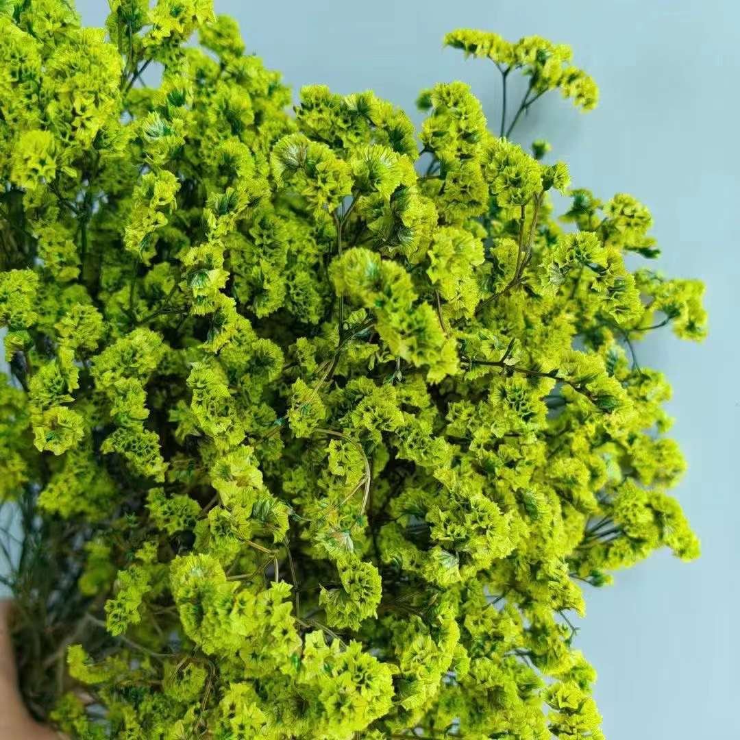 Natural Preserved Flower Dried Flower Bouquet Crystal Grass Flower Arrangements Material For Wedding Decoration Home Decoration