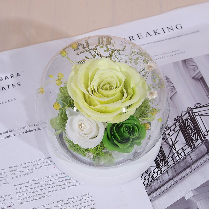 2024 New Factory Directly Supply Hot Selling Eternal Rose Preserved Flower Forever Roses In Glass Dome
