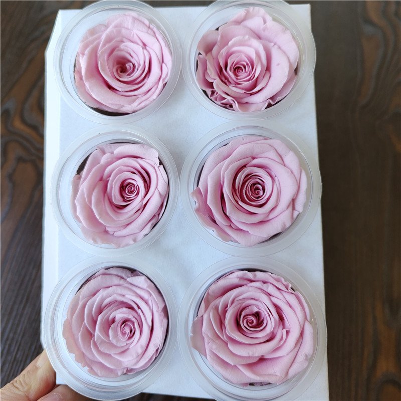 High Quality 5-6cm a Grade Preserved Roses Real Eternal Flowers in Cups for Mother's Day and Valentine's Day Gifts