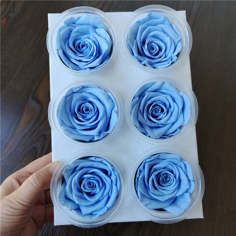High Quality 5-6cm a Grade Preserved Roses Real Eternal Flowers in Cups for Mother's Day and Valentine's Day Gifts