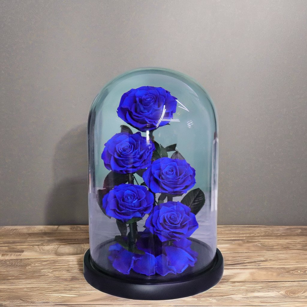 Hot New Design Beautiful Preserved Rose Flower Long Lasting Eternal Preserved Roses Xl Preserved Roses Big Size In Glass Dome