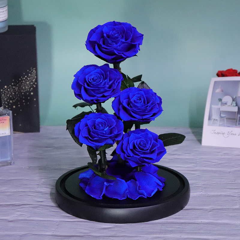 Hot New Design Beautiful Preserved Rose Flower Long Lasting Eternal Preserved Roses Xl Preserved Roses Big Size In Glass Dome