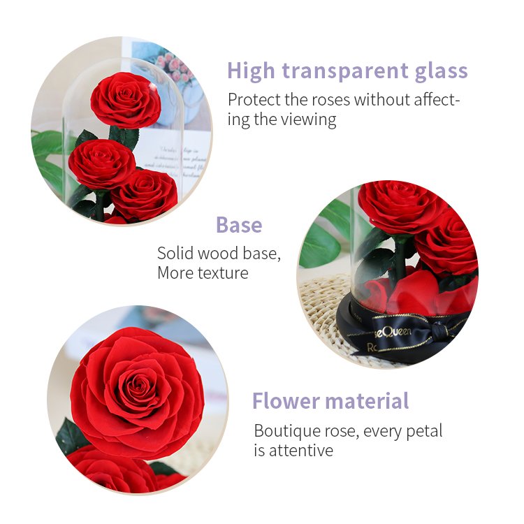 YS-029 Valentines day gift Wholesale Real in Glass Dome Roses Never Withered Flower Preserved Flowers three Preserved Roses
