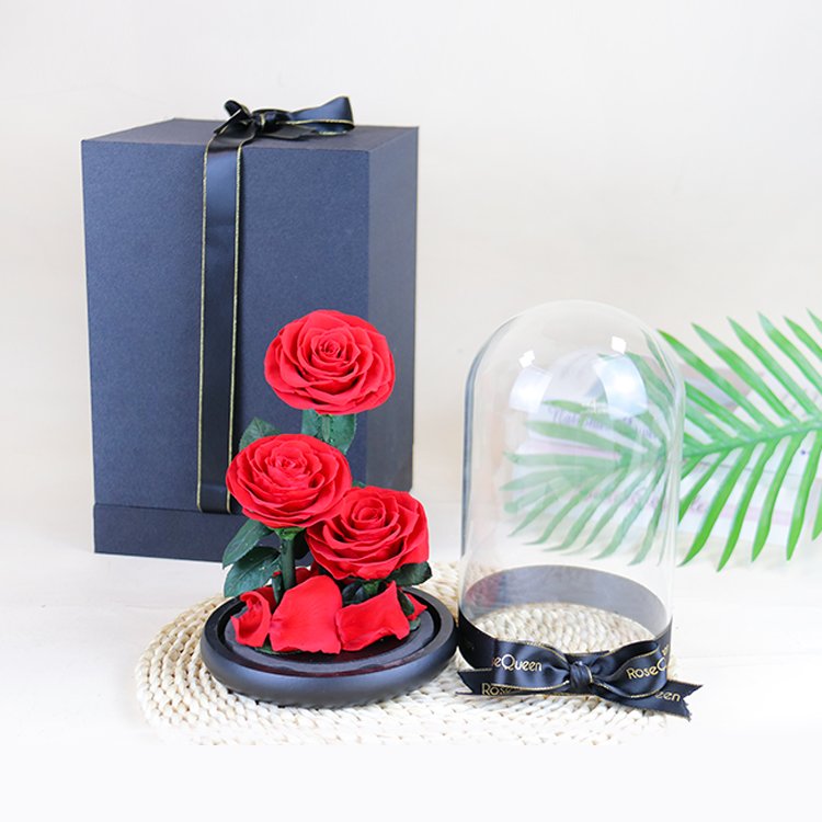 YS-029 Valentines day gift Wholesale Real in Glass Dome Roses Never Withered Flower Preserved Flowers three Preserved Roses