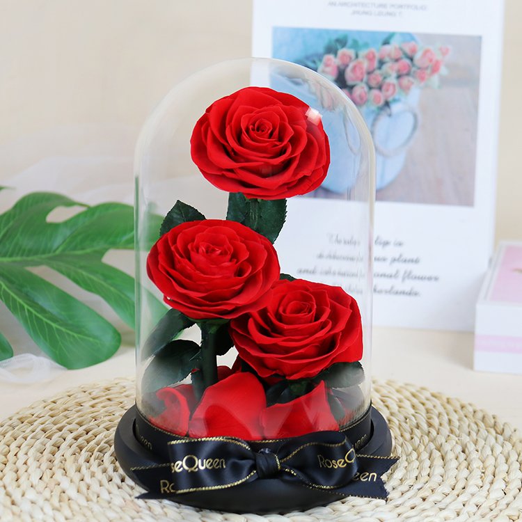 YS-029 Valentines day gift Wholesale Real in Glass Dome Roses Never Withered Flower Preserved Flowers three Preserved Roses
