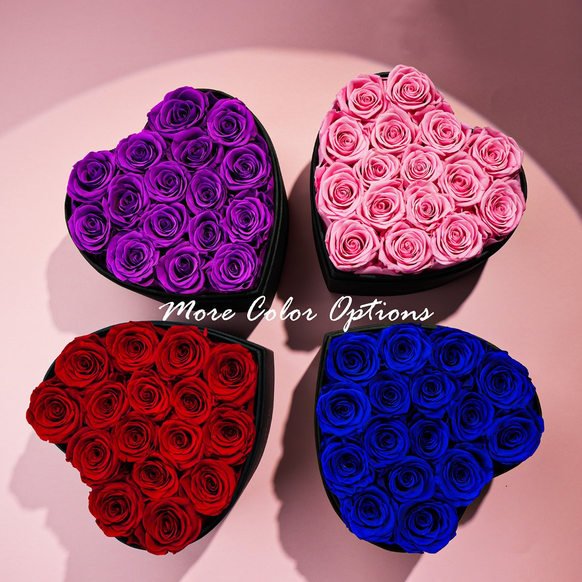 Wholesale Flower Mother's Day Gift Long Life Lasting Real Natural Everlasting Immortal Forever Eternal Preserved Rose in Box