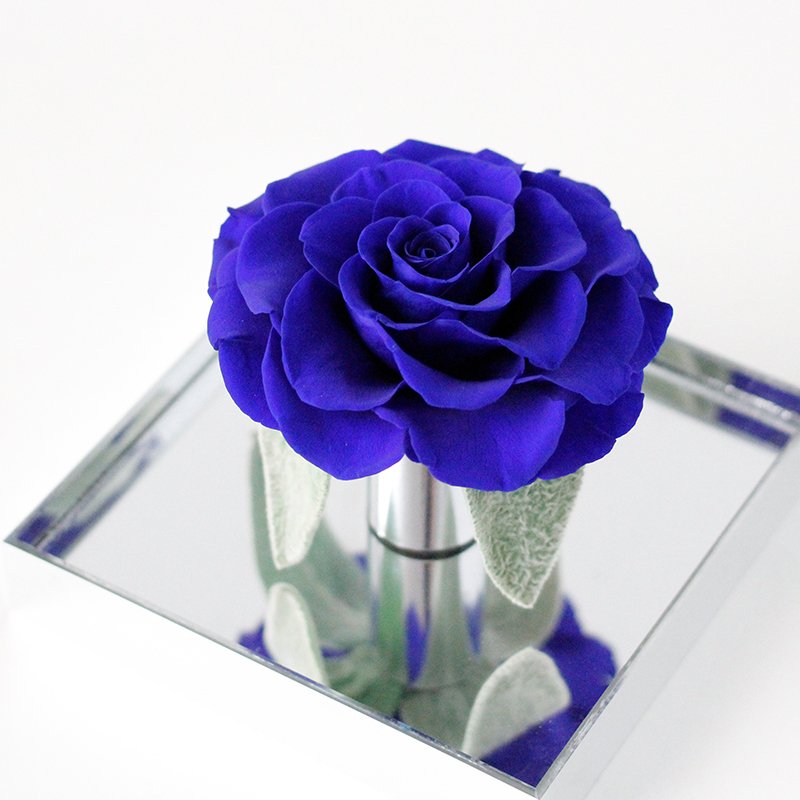 wholesale Valentine's Gifts Handmade Fresh Preserved Roses Forever Natural Real Eternal Preserved Flowers in Acrylic Square Box