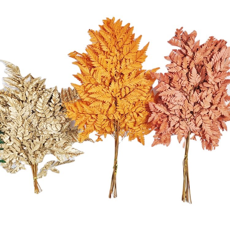 SumFlora Factory Wholesale Multi-colored Beautiful Natural Real Touch import natural flower preserved flower arachniodes