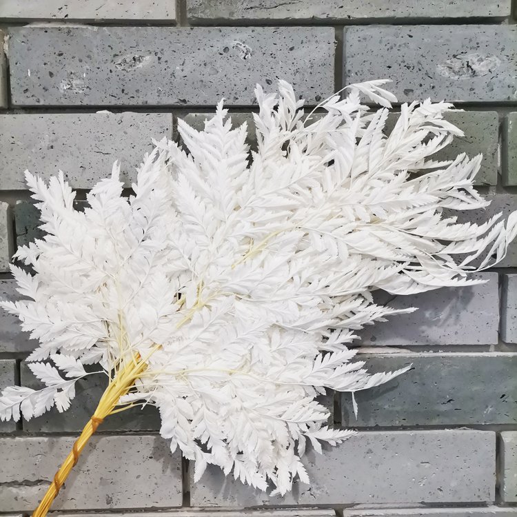 SumFlora Factory Wholesale Multi-colored Beautiful Natural Real Touch import natural flower preserved flower arachniodes