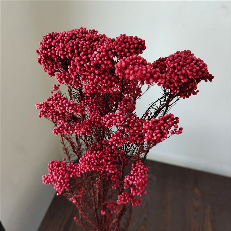 Preserved Sakura Rice Flower Beautiful Branches Style for Fresh Household Arrangements and Bouquet Making Packaged in Bags