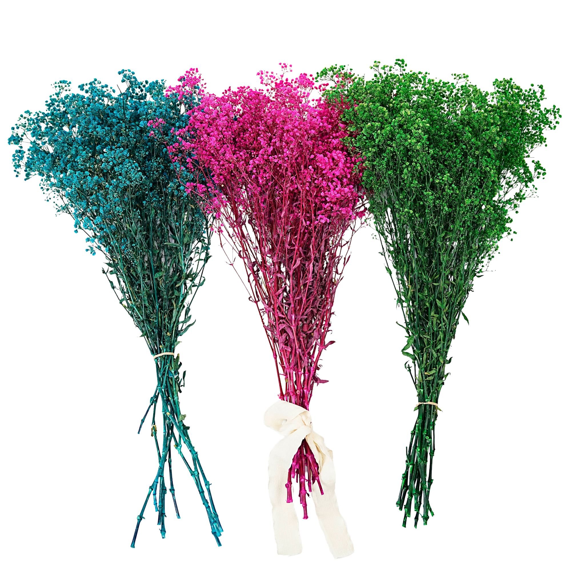 Free samples Multi-color naturally Gypsophila Babysbreath Dried Flowers Breath for Wedding Baby Wedding&home Decoration