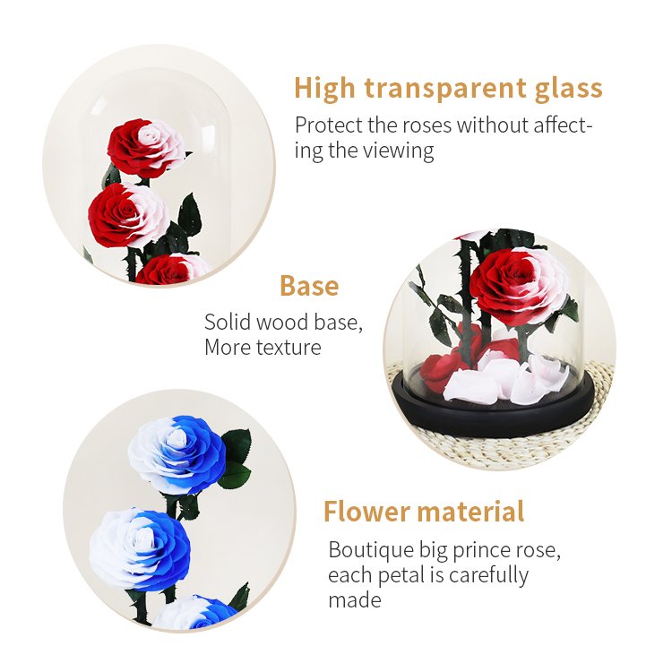 YS-019 valentines day gift Wholesale Real in Glass Dome Three Roses Never Withered Flower Preserved Flowers Preserved Rose