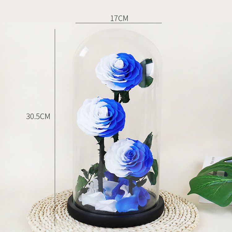 YS-019 valentines day gift Wholesale Real in Glass Dome Three Roses Never Withered Flower Preserved Flowers Preserved Rose