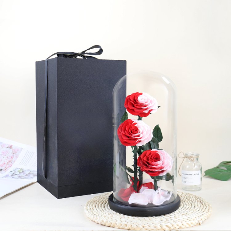 YS-019 valentines day gift Wholesale Real in Glass Dome Three Roses Never Withered Flower Preserved Flowers Preserved Rose