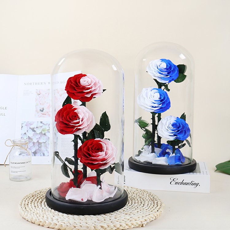 YS-019 valentines day gift Wholesale Real in Glass Dome Three Roses Never Withered Flower Preserved Flowers Preserved Rose