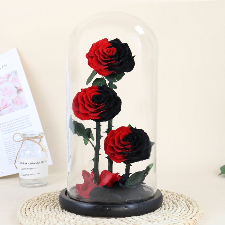 YS-019 valentines day gift Wholesale Real in Glass Dome Three Roses Never Withered Flower Preserved Flowers Preserved Rose