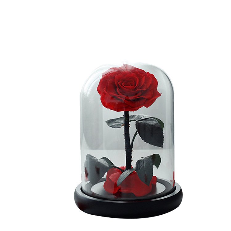 New Preserved Roses in Glass Eternal Flower Dome Beauty And The Beast Red Eternal Rose