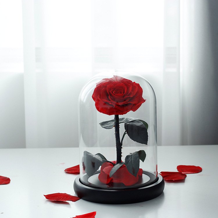 New Preserved Roses in Glass Eternal Flower Dome Beauty And The Beast Red Eternal Rose