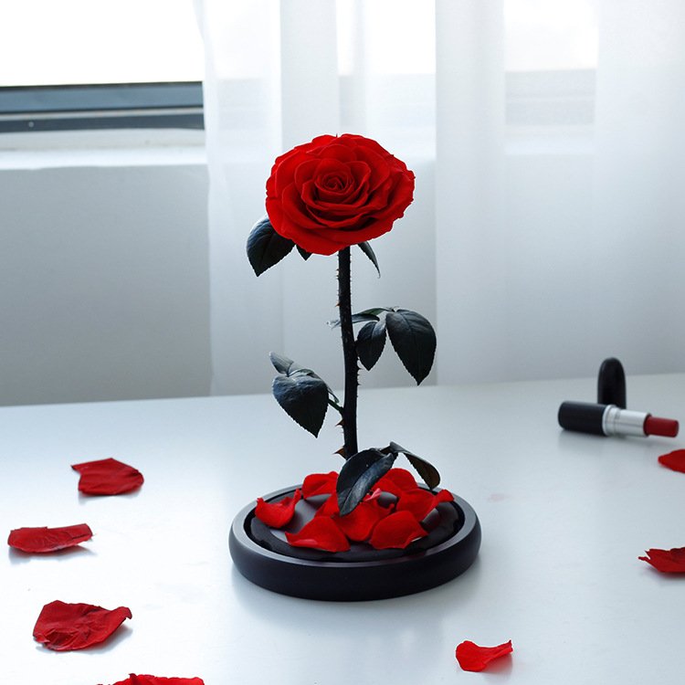 New Preserved Roses in Glass Eternal Flower Dome Beauty And The Beast Red Eternal Rose