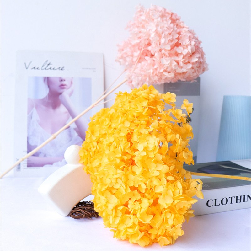 Cone Dried Big Leaf Hydrangea Flowers Preserved Real Touch Hydrangeas For Home Wedding Decoration