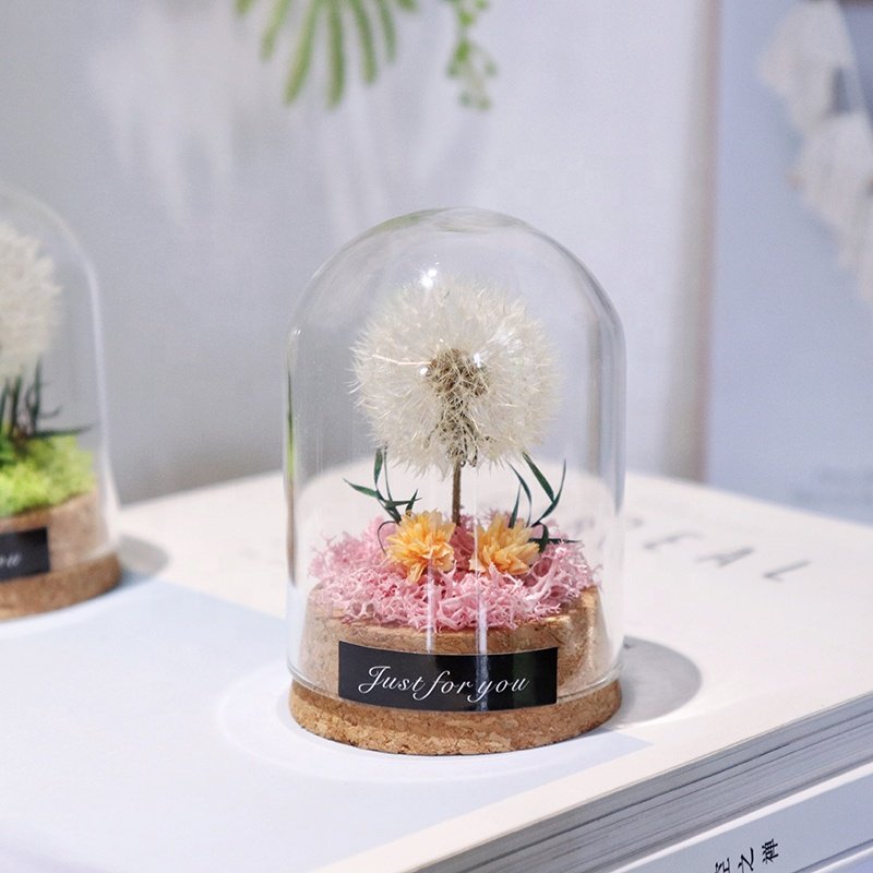 Glass Dome with Dandelion Flower Eternal Flowers Preserved Flowers Dandelion with Led Light Gift for Girlfriend Wife Mom Women