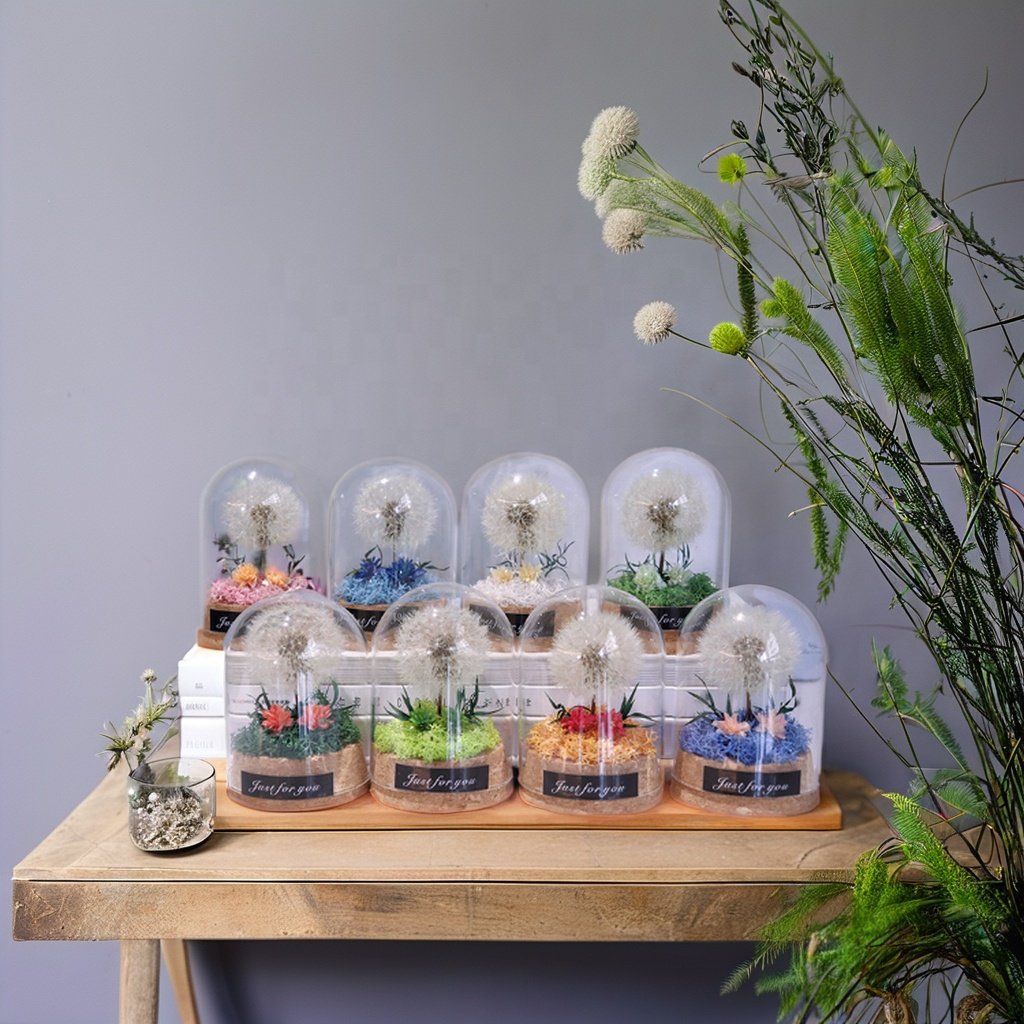 Glass Dome with Dandelion Flower Eternal Flowers Preserved Flowers Dandelion with Led Light Gift for Girlfriend Wife Mom Women