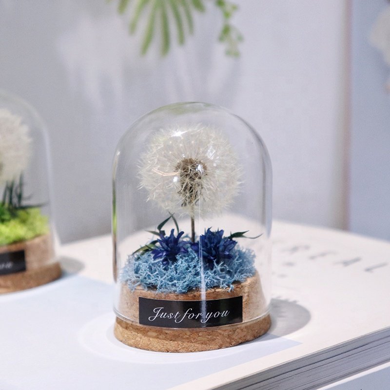 Glass Dome with Dandelion Flower Eternal Flowers Preserved Flowers Dandelion with Led Light Gift for Girlfriend Wife Mom Women