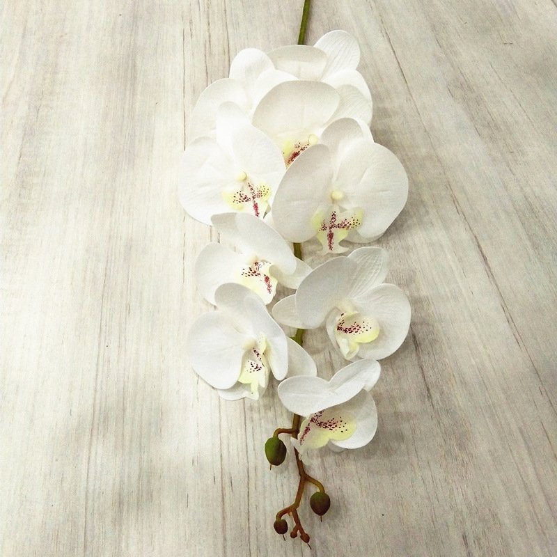 Customized Colors 3D Latex Flower Home Decoration Artificial Orchid Flower