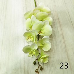 23