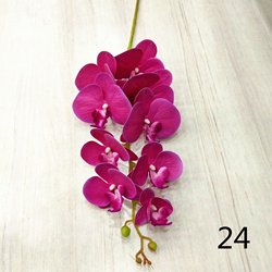 24
