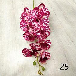 25