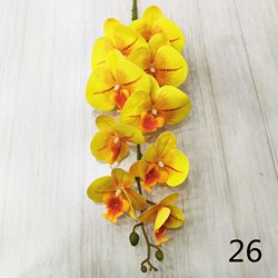 26