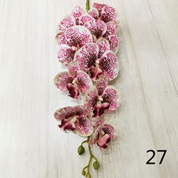 27
