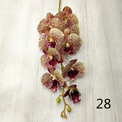 28