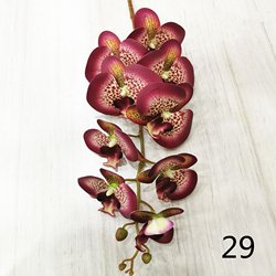 29