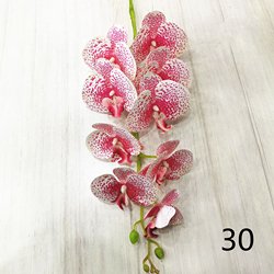30