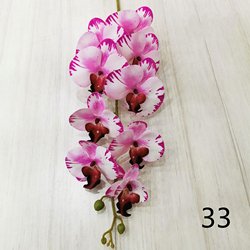 33