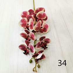 34