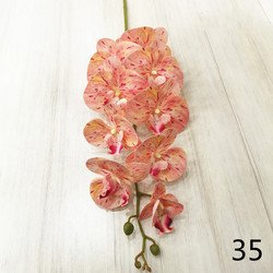 35