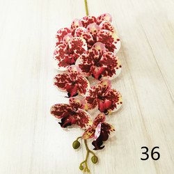 36