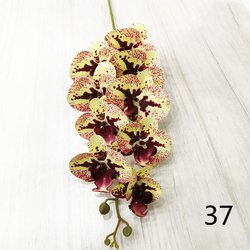 37