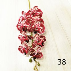 38
