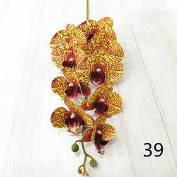 39